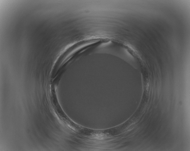 X0000081360540200701182115