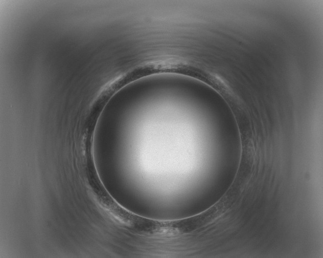 X0000081360543200701182115