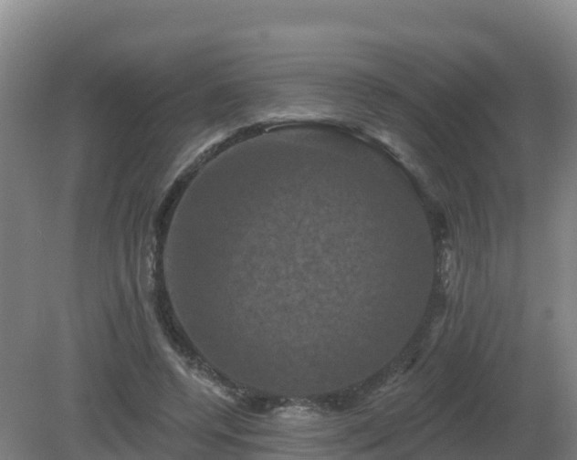 X0000081360544200701182115
