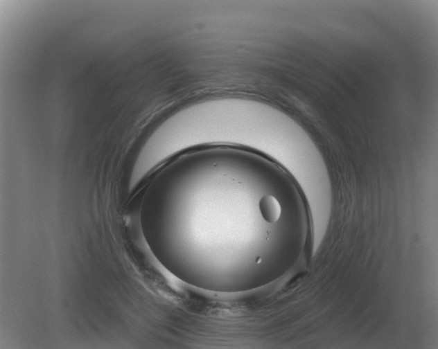 X0000081360548200701182115