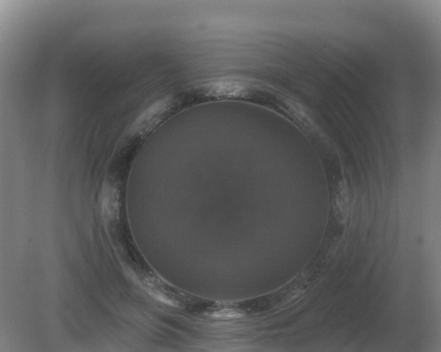 X0000081360551200701182115