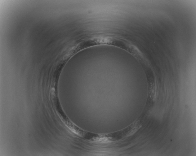 X0000081360553200701182115
