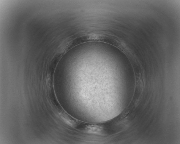 X0000081360557200701182116