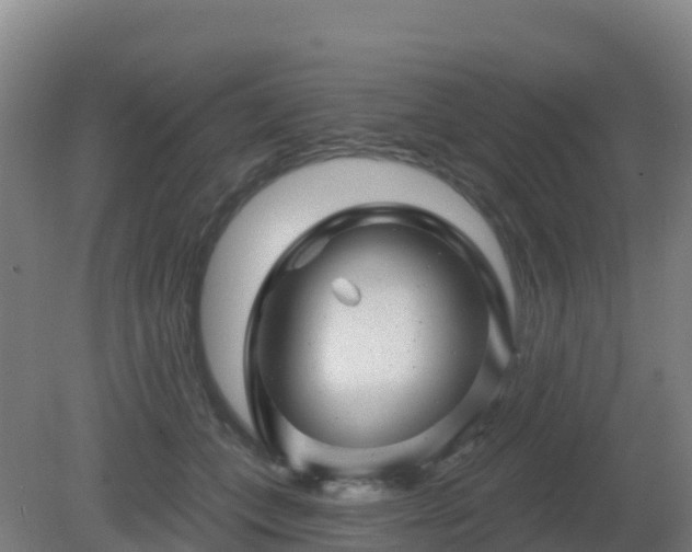X0000081360559200701182116