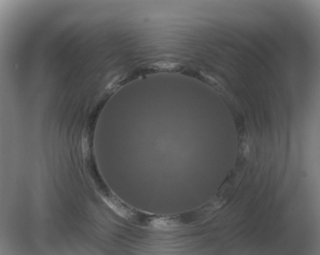 X0000081360568200701182116