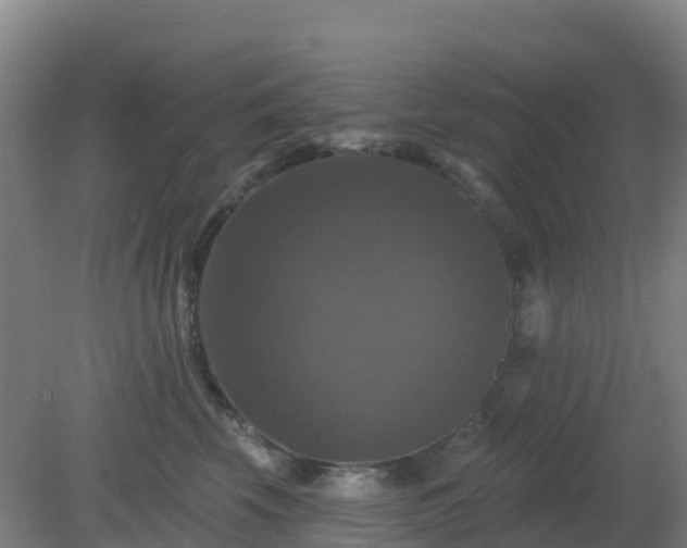 X0000081360569200701182116