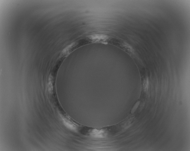 X0000081360570200701182116