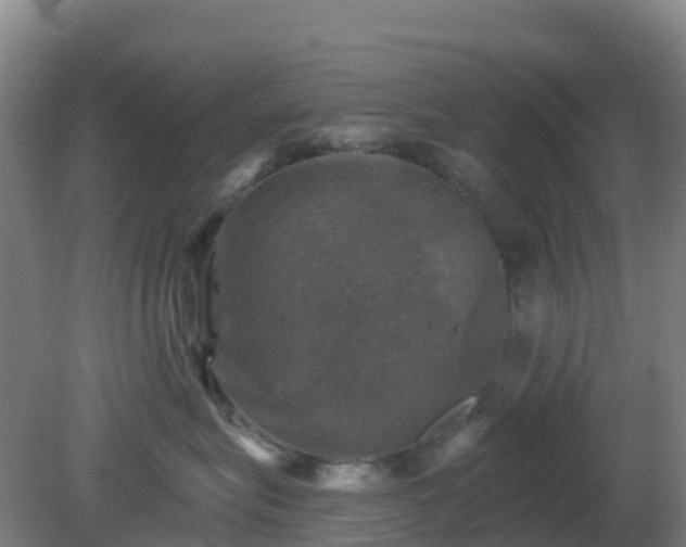 X0000081360575200701182116