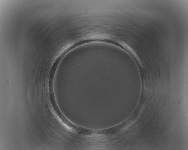 X0000081360581200701182115