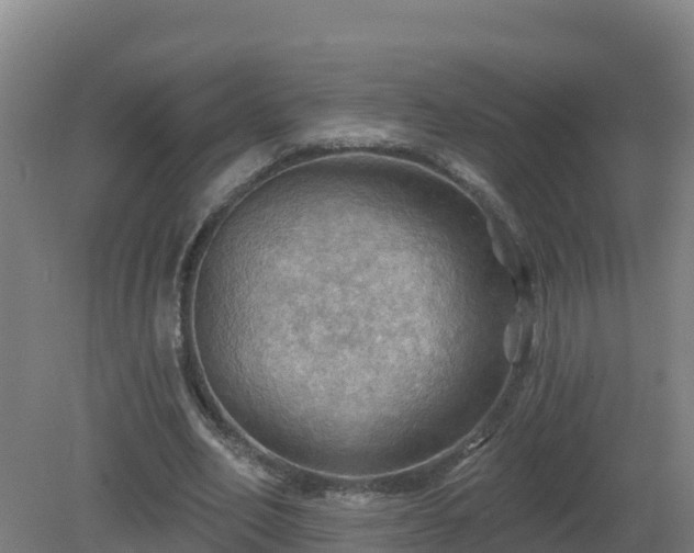 X0000081360582200701182115
