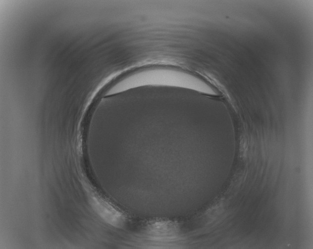X0000081360584200701182115