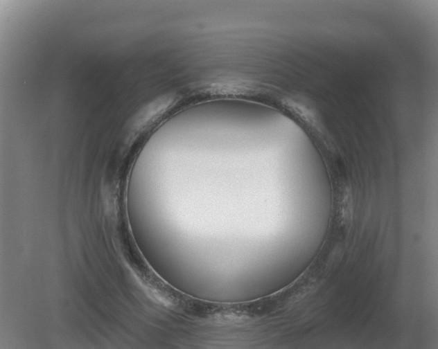 X0000081360586200701182115