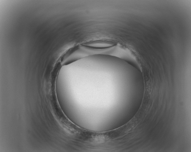 X0000081360587200701182115