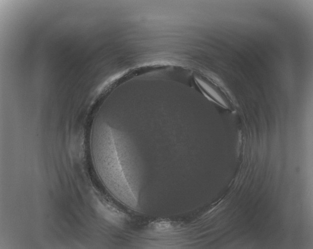 X0000081360588200701182115
