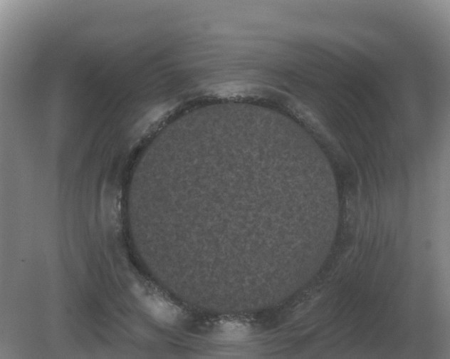 X0000081360592200701182115