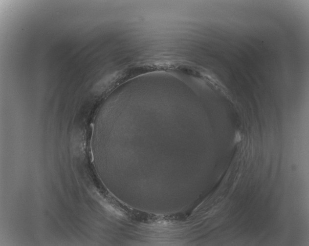 X0000081360593200701182115