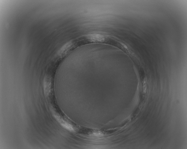 X0000081360600200701182115