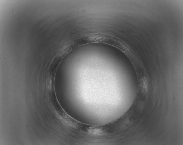 X0000081360602200701182115