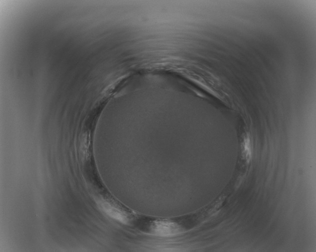 X0000081360605200701182115