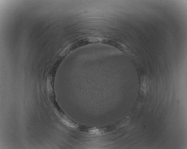 X0000081360616200701182114