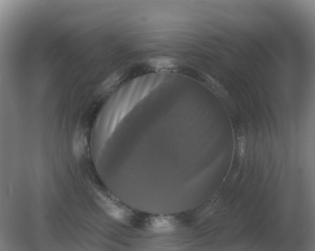 X0000081360618200701182114