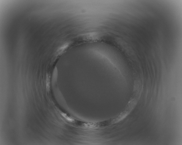 X0000081360624200701182114