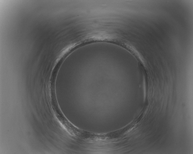 X0000081360626200701182113