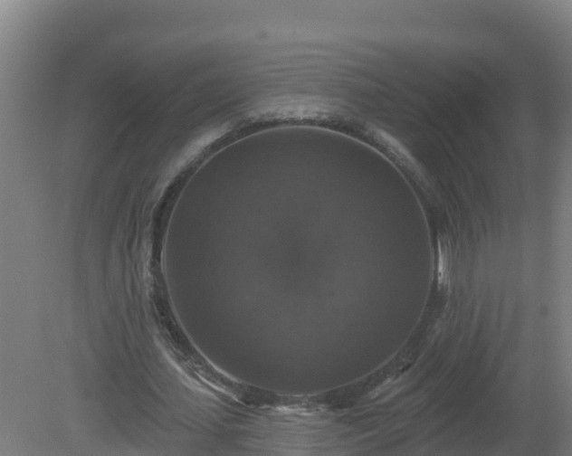 X0000081360627200701182113