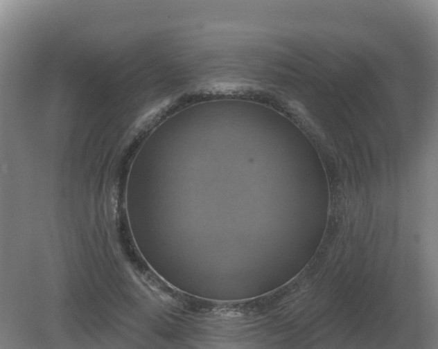 X0000081360640200701182114