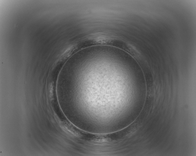 X0000081360646200701182114