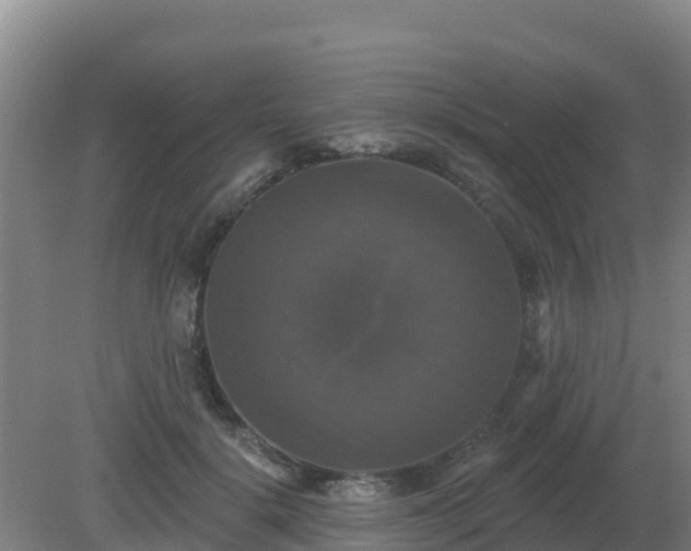 X0000081360652200701182114