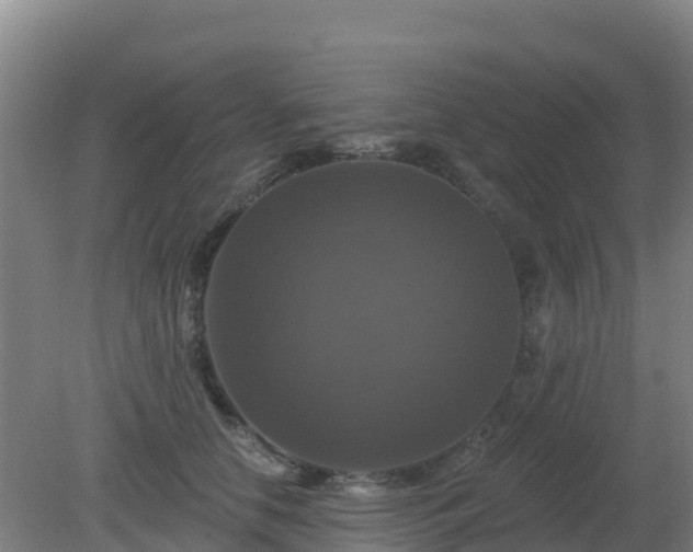 X0000081360658200701182114