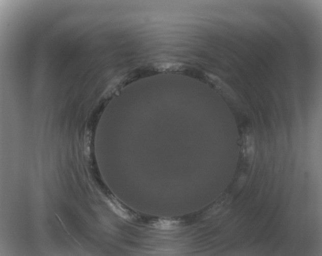 X0000081360664200701182114
