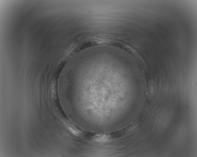 X0000081360667200701182114