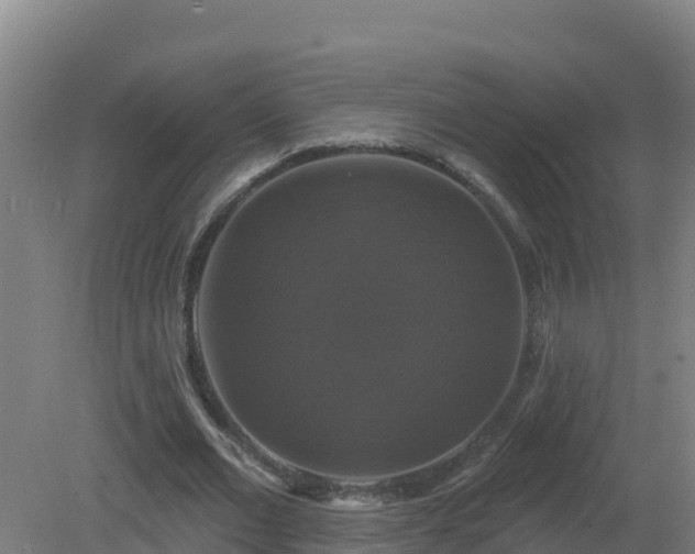 X0000081360677200701182113