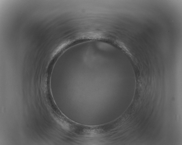 X0000081360679200701182113