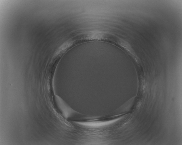 X0000081360681200701182113