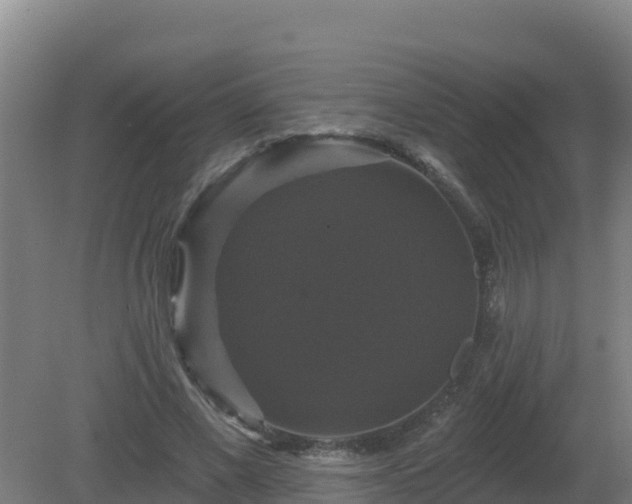X0000081360685200701182113