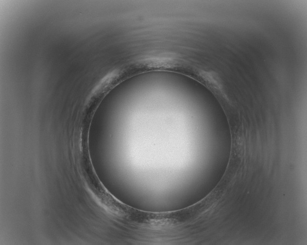 X0000081360686200701182113
