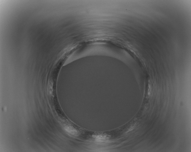X0000081360693200701182113