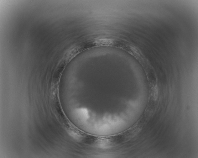 X0000081360701200701182113