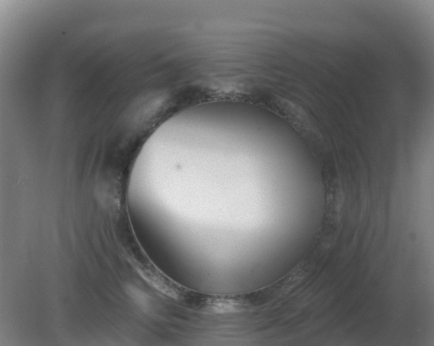X0000081360710200701182113