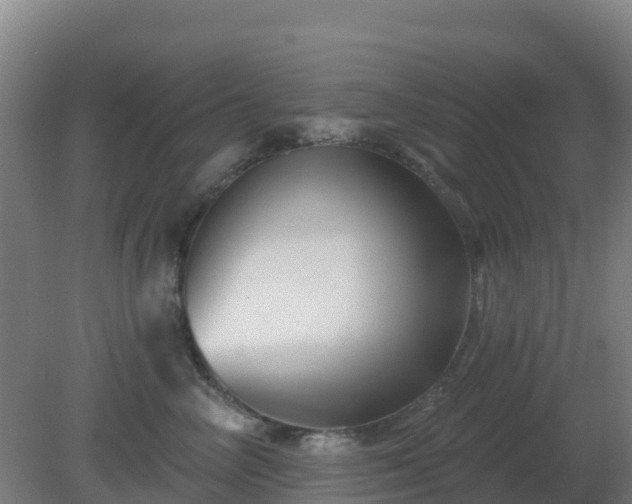 X0000081360714200701182113