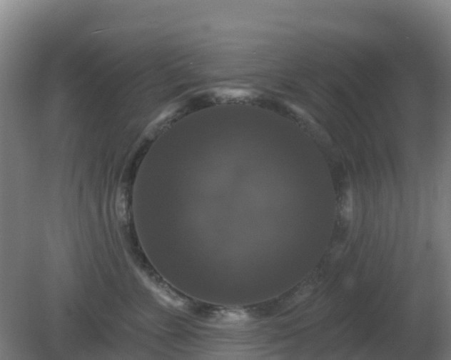X0000081360715200701182113