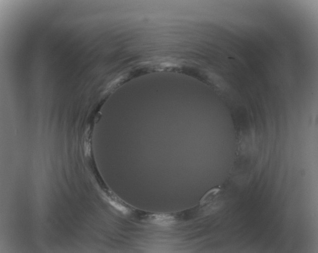 X0000081360719200701182113