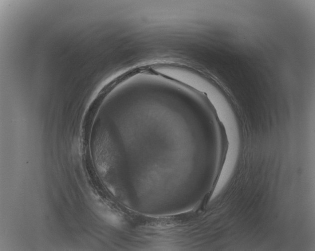 X0000081360724200701182112