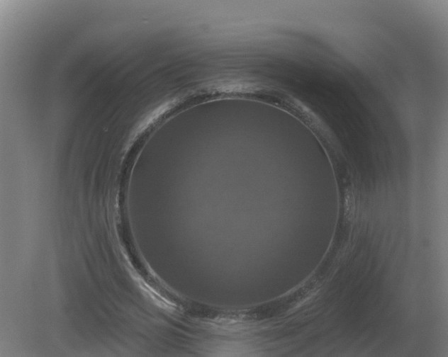 X0000081360725200701182112