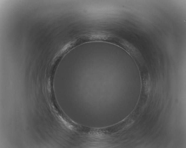 X0000081360729200701182112