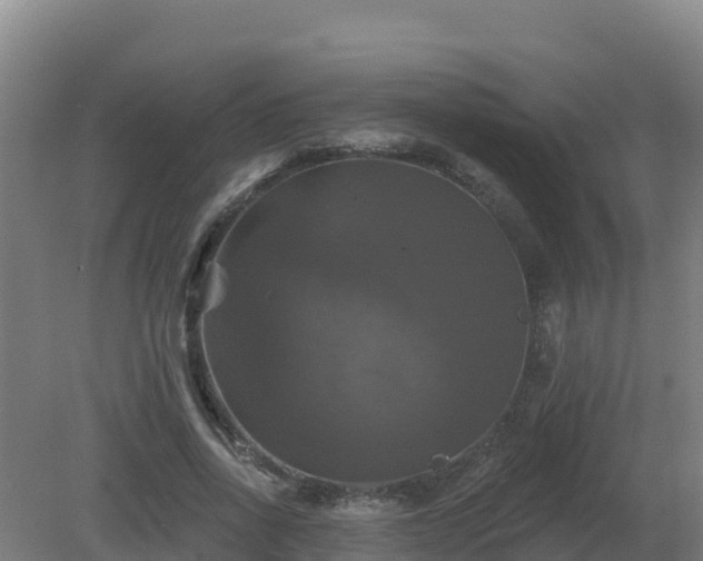 X0000081360734200701182112