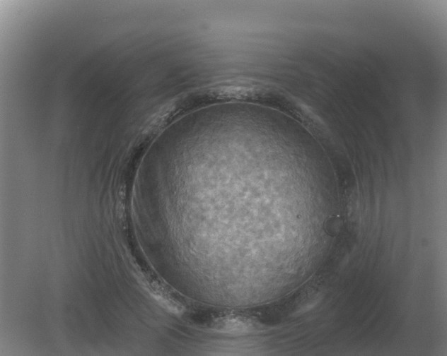 X0000081360737200701182112